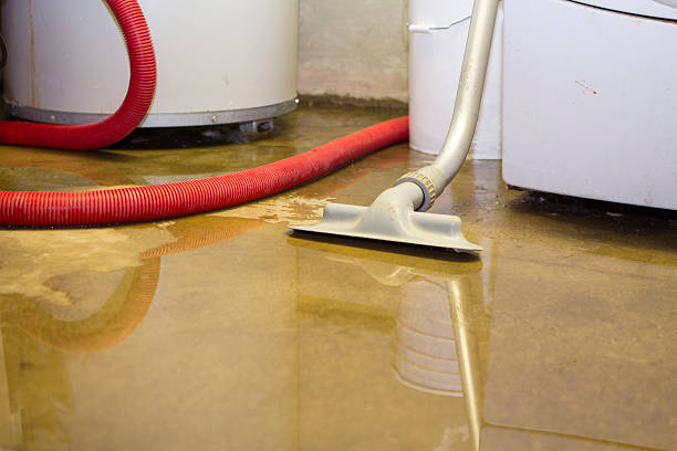 Best Fire Damage Restoration  in Rollingwood, TX