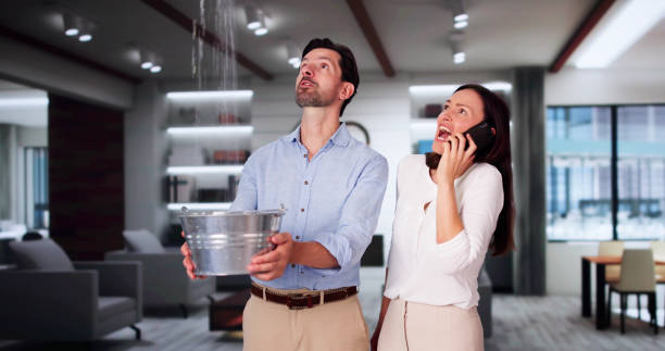 Best Water damage contractors near me  in Rollingwood, TX